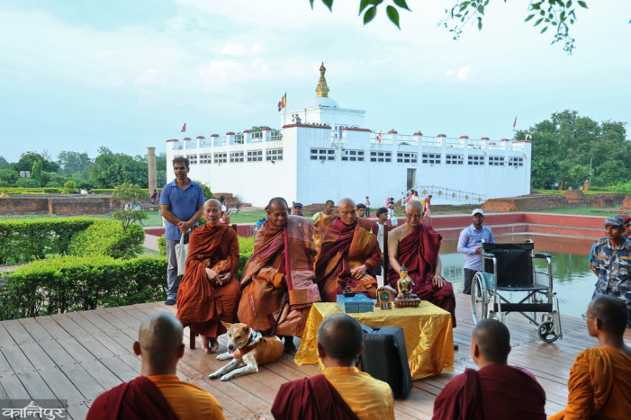 Aloka the dog, who gained fame by trekking 3,700 km in the US with monks, is in Lumbini.