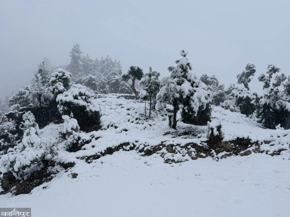 Snowfall disrupts traffic on Mid-Hill Highway