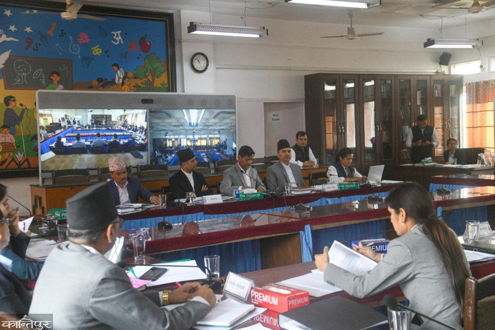 What is in the action plan submitted by Chief Justice Seesada Sharma to the Parliamentary Hearing Committee?