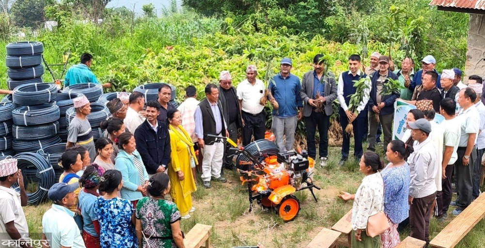Mango block program in the displacement-affected areas of Chhathar Jorpati