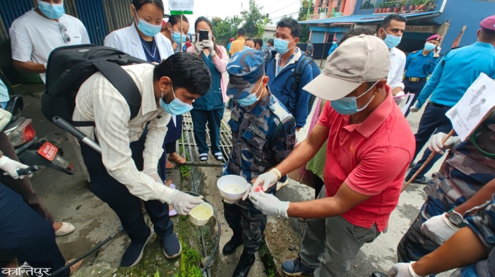 Dengue infections on the rise in Dhankuta, 'Search and Destroy' campaign launched