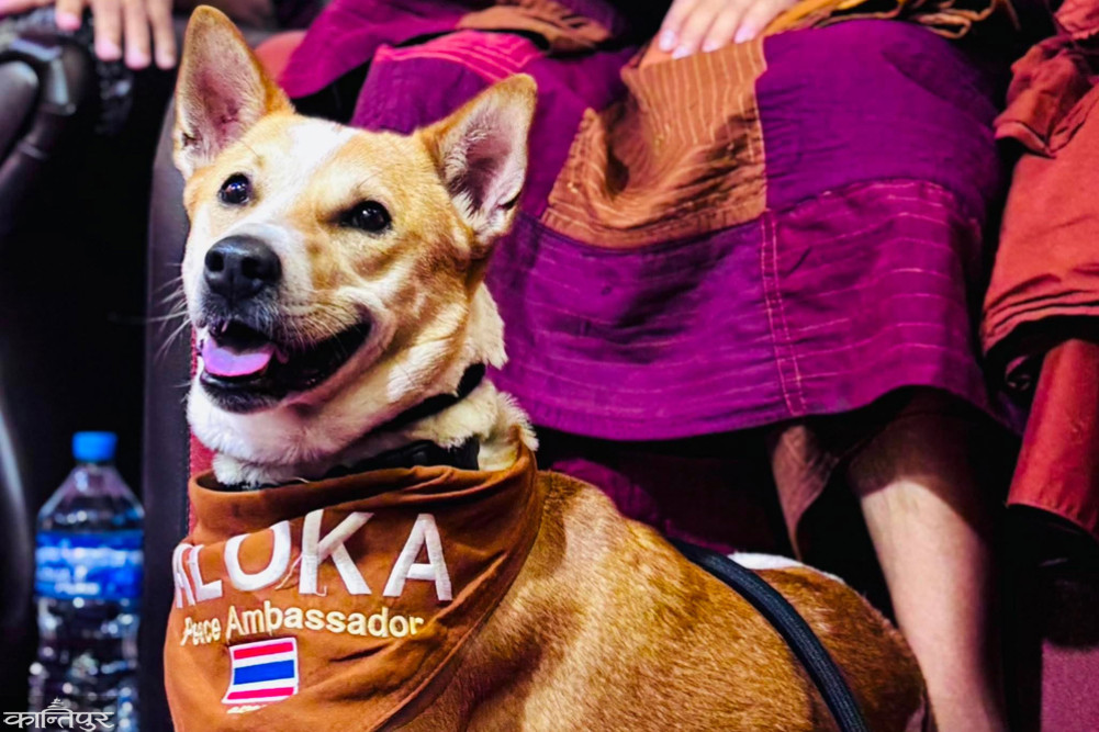 Air India denies flight permission to 'Peace Dog' Aloka, monk Pannakar also stranded in Kathmandu