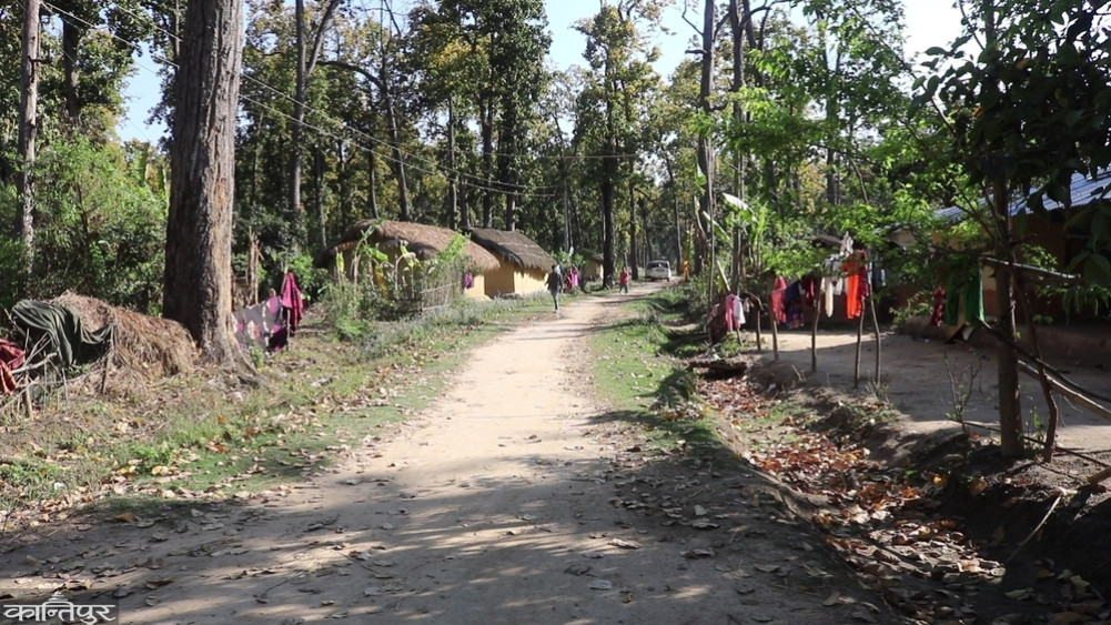 Encroachment on over 628 hectares of Bardiya National Park, office taking stock