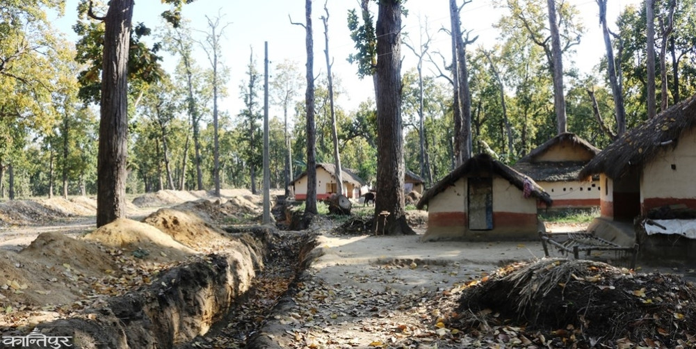 1,000 hectares of forest encroached in Bardiya