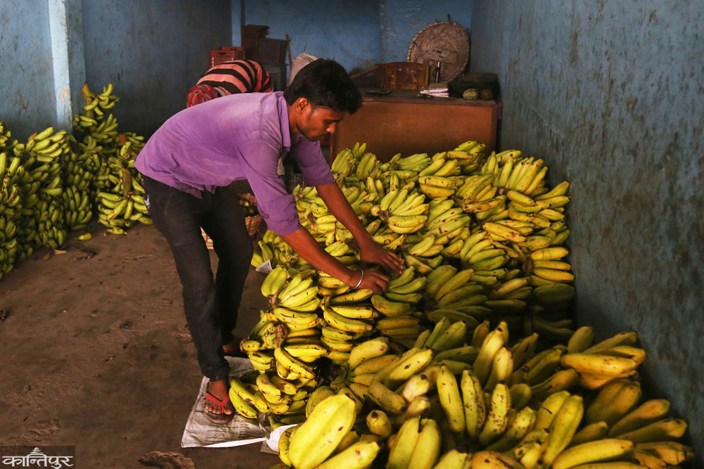 Why did the price of bananas increase?