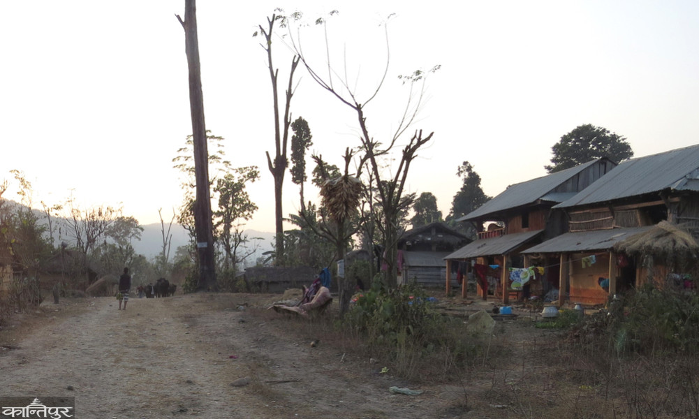 Chitwan National Park warns to leave encroached areas within 15 days