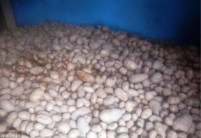 Potatoes from Bafukhola are stuck without a price
