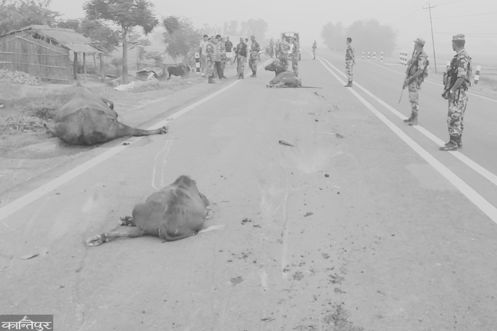 An assistant police constable died, another was seriously injured in a truck accident.