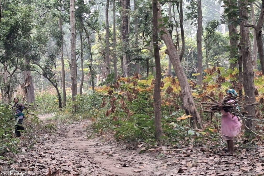 Improvement and transformation of community forests