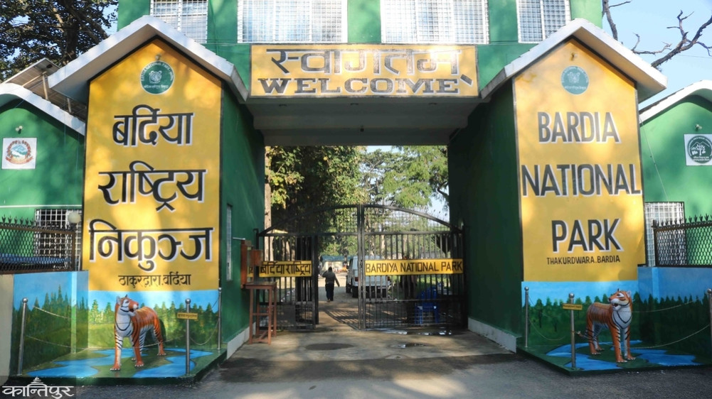 Re-investigation after missing tusks of hawk and tiger
