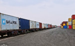 Paddy and maize imports from Birgunj border decrease, rice, wheat and kanika increase