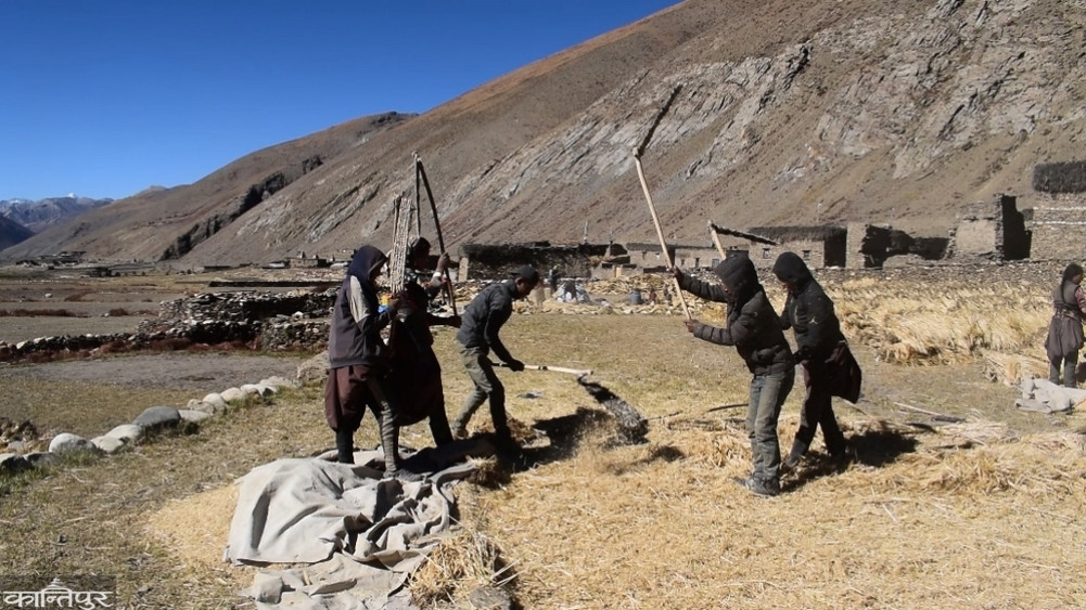 Potential for herbs and tourism in Dolpa, where migration is decreasing