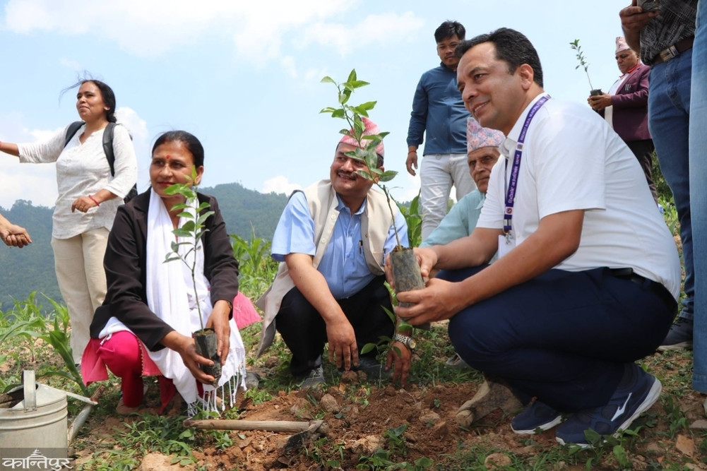 37,000 saplings demanded in Ribdikot for 'One Plant, One Hundred-Coin Note' program