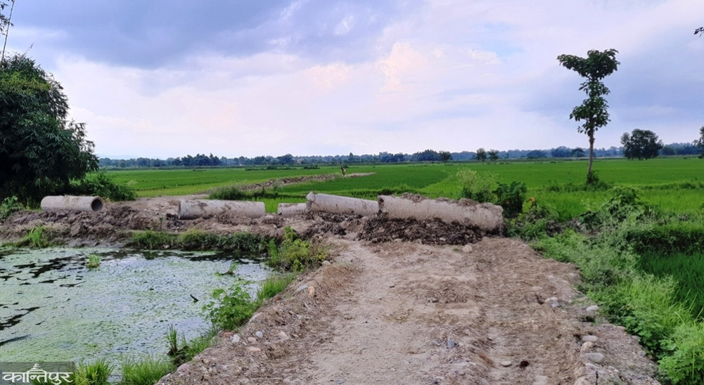 Chandrapur Municipality looking for old 'royal palaces'