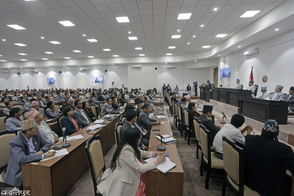 Women MPs' common front for protecting rights