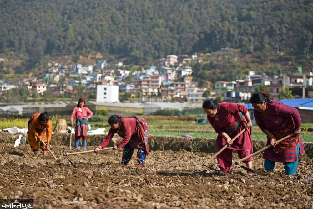 Agricultural cooperation between Korea and Nepal