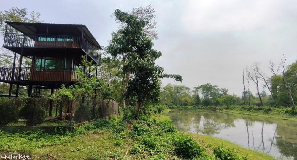 Preparations for 'Evening Jeep Safari' in three community forests of Chitwan, what do stakeholders say?