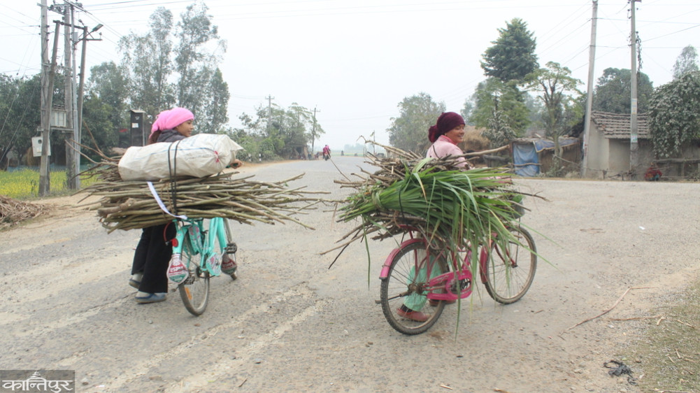 The burden of disaster on women's shoulders