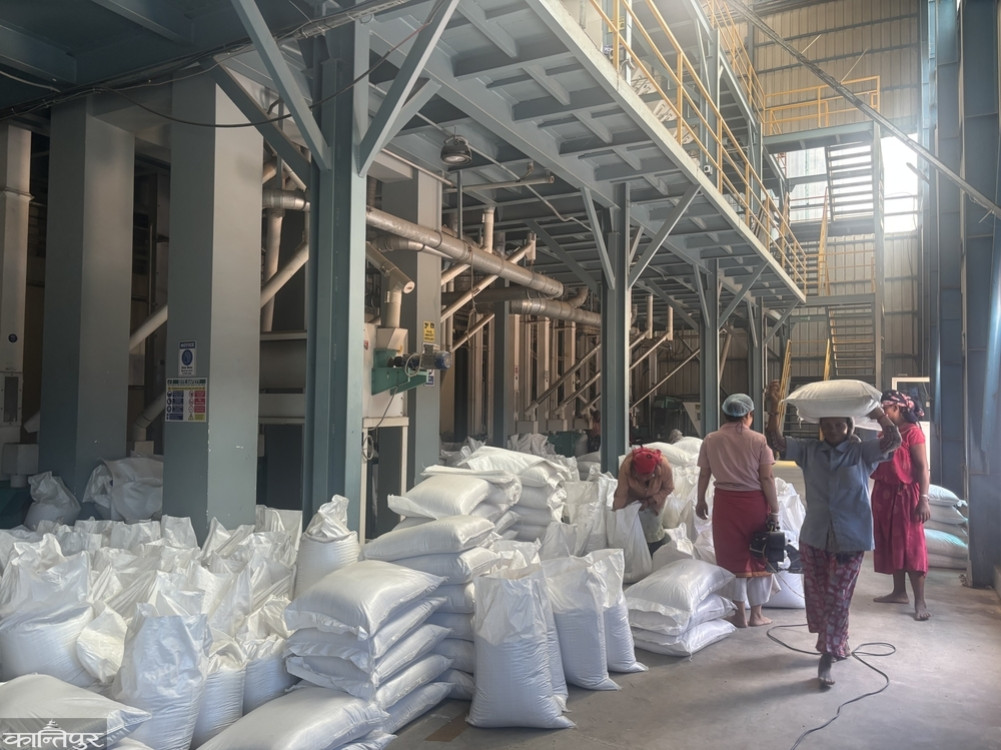 Morang rice farmers excited after receiving higher prices than the government set
