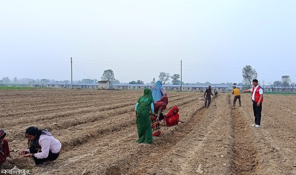 Bardiya's perennial election agenda: Reducing human-wildlife conflict and managing fertilizers and seeds