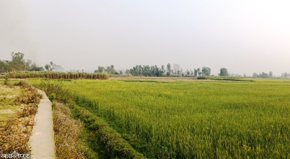 Kanchanpur is showing hope with the dry port and Mahakali Corridor
