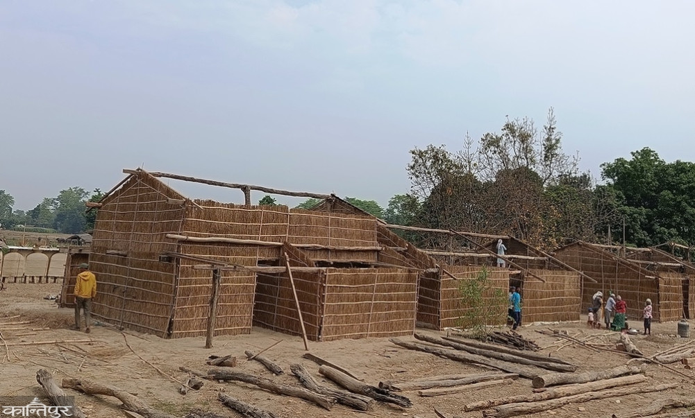 A family of 59 members split up into 9 houses