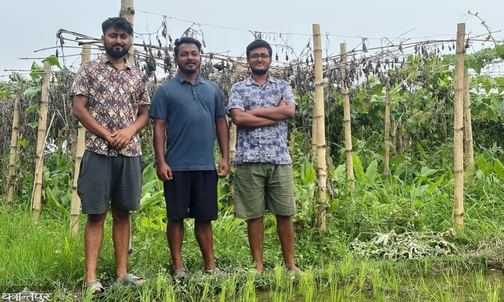 Gen-G abandons plans to get a job and engages in organic farming