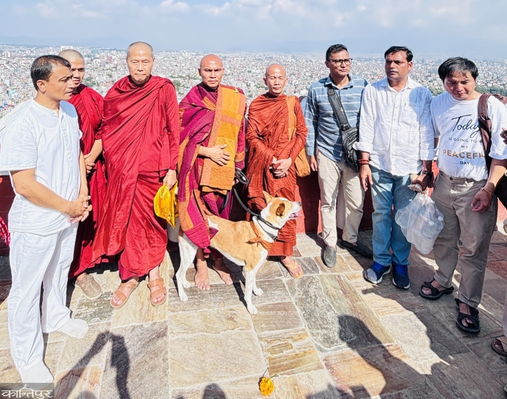 'Peace Dog' Aloka's trip to Kathmandu
