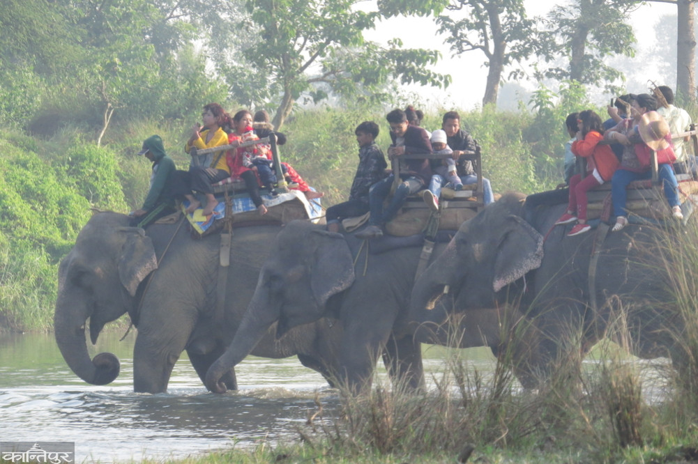 Supreme Court orders to find alternative to elephant safari