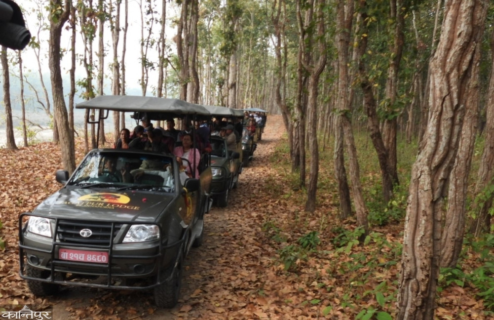 Patihani-Dudhaura jeep safari operation