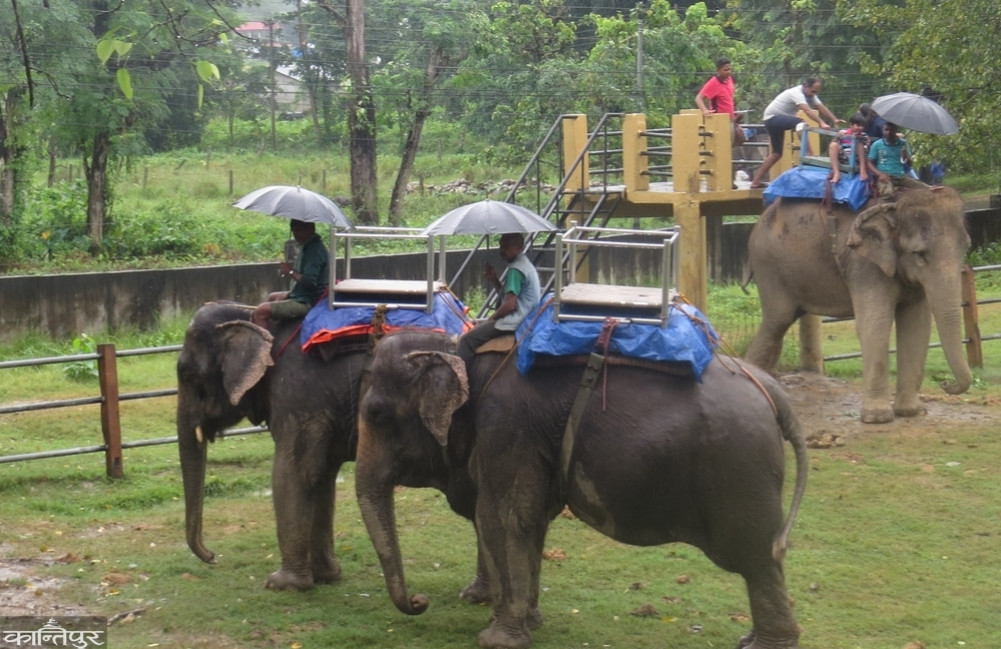 ‘Monsoon Offer’ at hotels and resorts to attract tourists during the rainy season