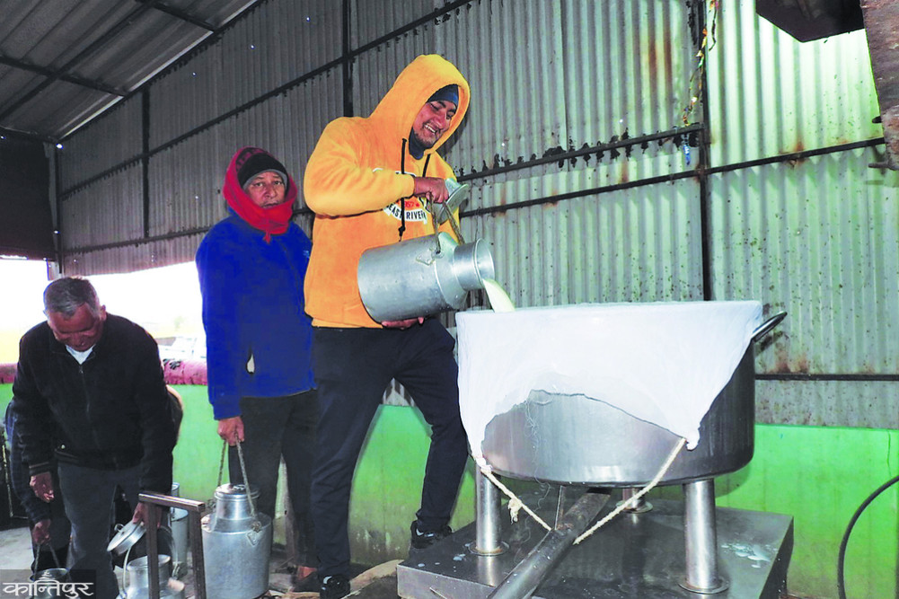 Dairy farmers in Bharatpur rely on subsidies