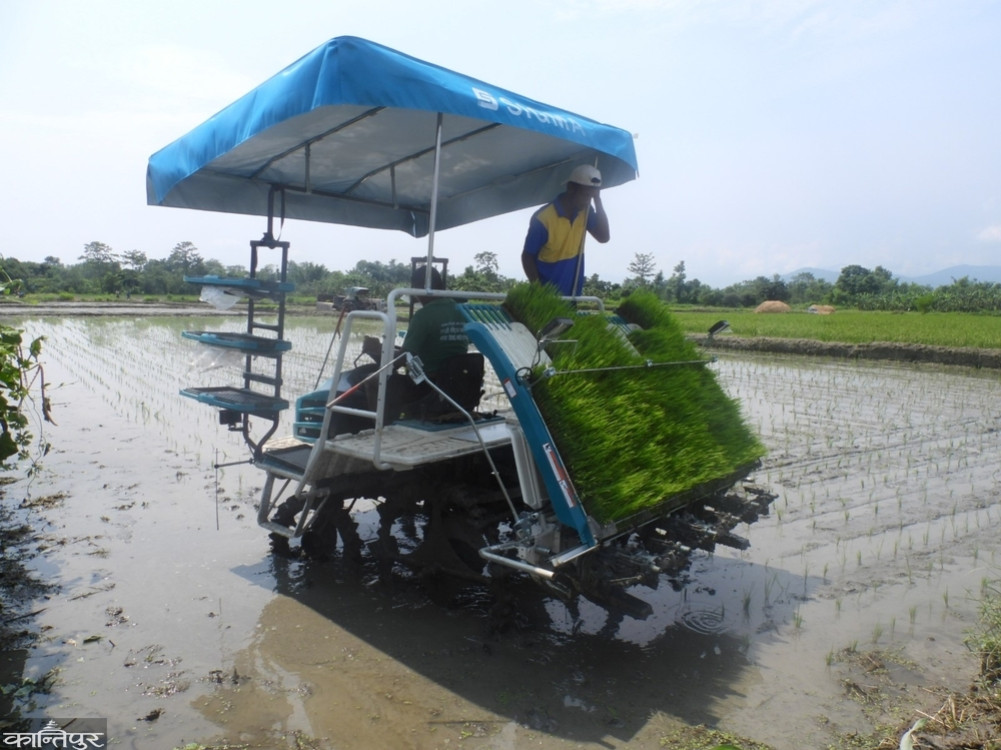 From people to machines, everyone is busy planting.