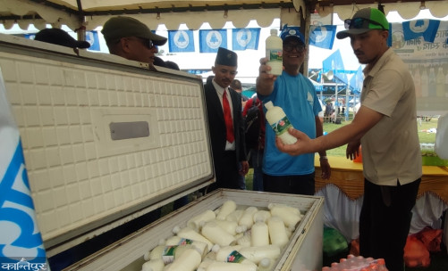 Cold fish and sweet chiuri are traded at the RSP general convention