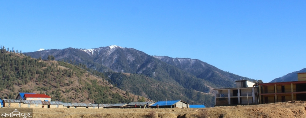 Students go to Patan to search for Yarsa, schools become deserted