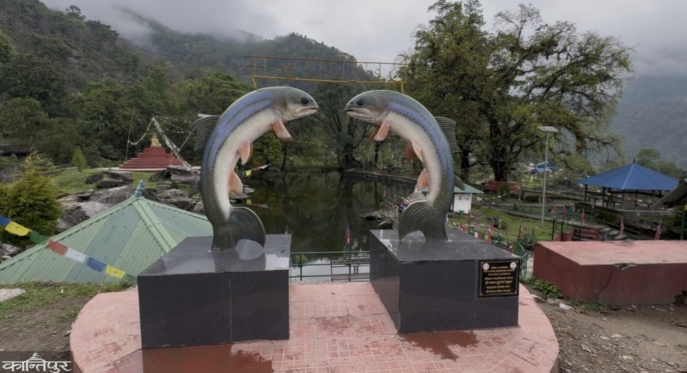 A unique confluence of fish, religious faith, and nature: Sankhuwasabha's fish pond