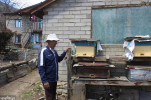 In Jumla, the price of honey has increased by 500 rupees, now 2,500 per kilo