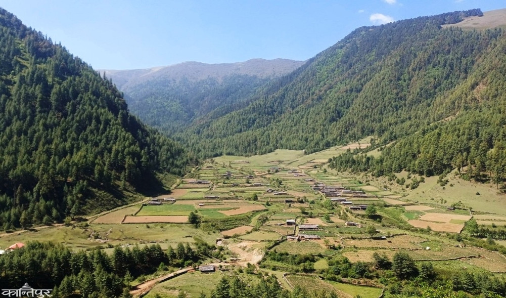 Millions invested in Niseldhor's roads and sheep farming
