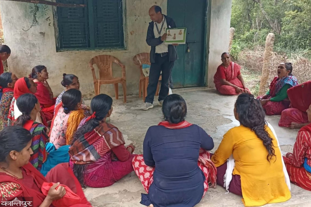 8-year-old boy dies after eating mushrooms in Palpa, health workers urge people not to eat wild mushrooms