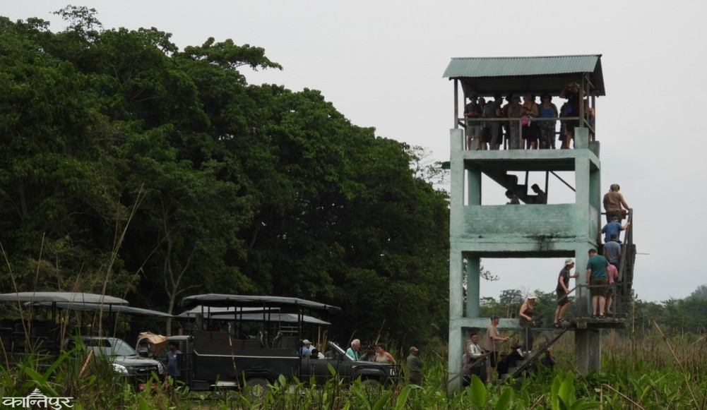 The most tourists visited Chitwan National Park in Baisakh this year, the most in three years