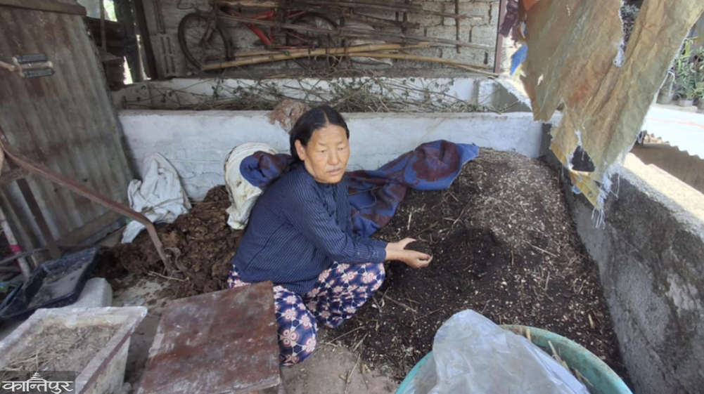 The Rai couple raise earthworms at home and sell fertilizer