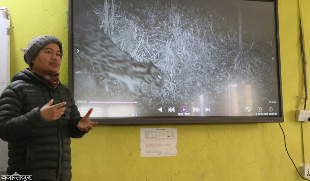 Critically Endangered Wildlife Caught in Camera Traps