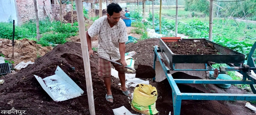 Worm fertilizer becoming an alternative to chemicals in Arghakhanchi