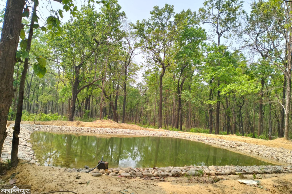 Wildlife can now drink water in natural ponds