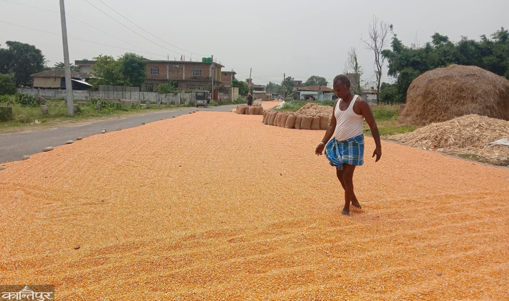 Driving a car on the road or drying corn?