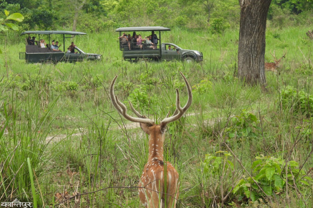 Jeep safaris within Chitwan National Park closed