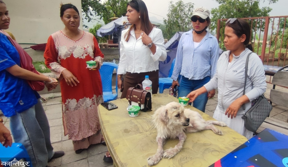 Those who care for stray dogs on the streets of Chitwan