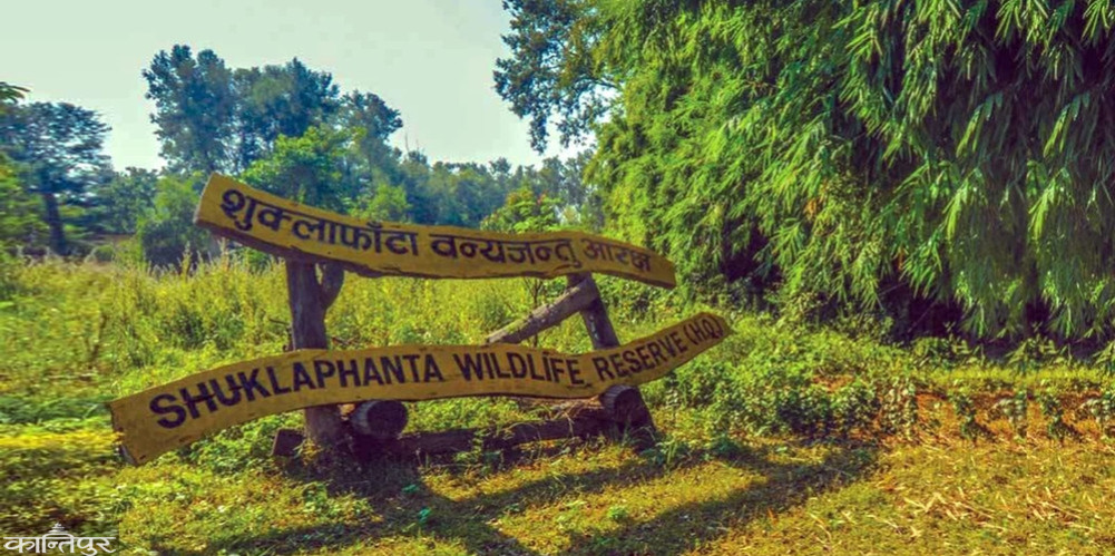 14 women who went to search for mushrooms in Shuklaphanta go missing, army and police searching