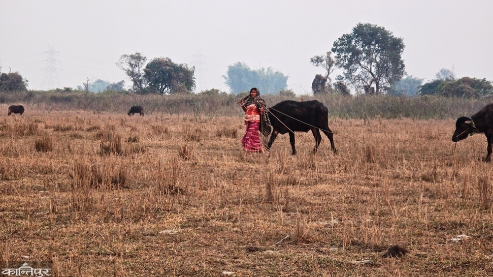 Winter-monsoon 'fear' reigns on Sri Lankan island