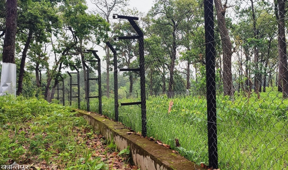Tree trunks to bring black deer to Chitwan